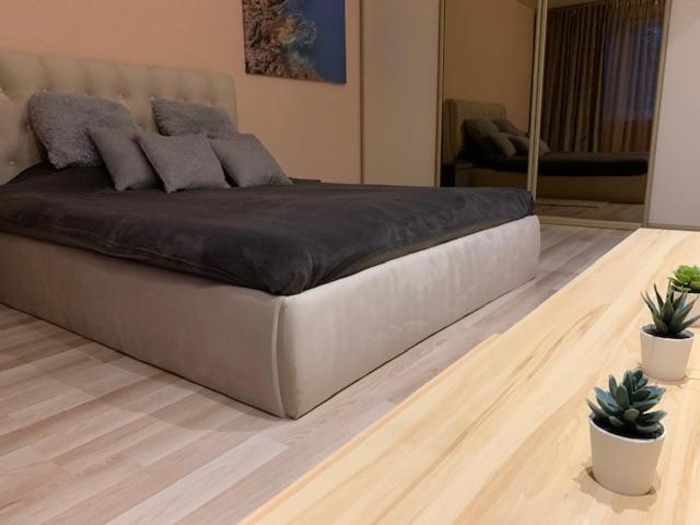 Oak Lounge Lux Apartment Riga Eksteriør billede